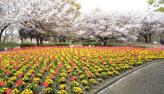 Omiya Hana no Oka Norin Park